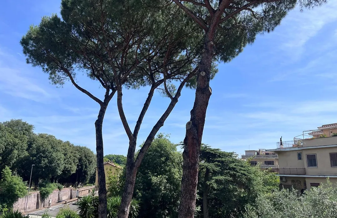 Green Park San Pancrazio-1